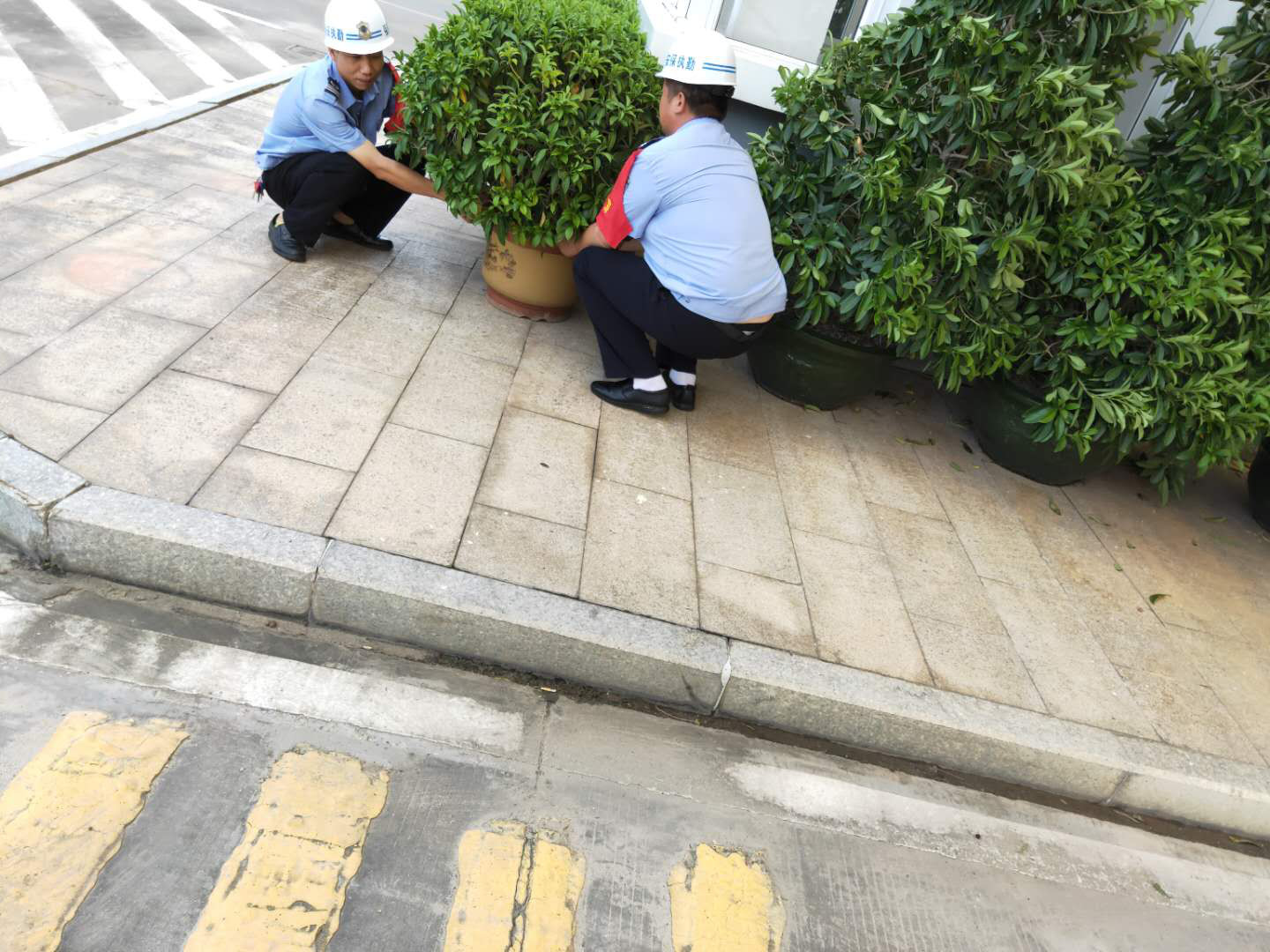 图片2.png
